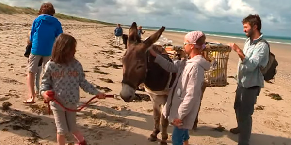 Normandie : cet homme nettoie les plages avec un âne