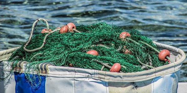 Des filets connectés pour le bien des océans et des pêcheurs