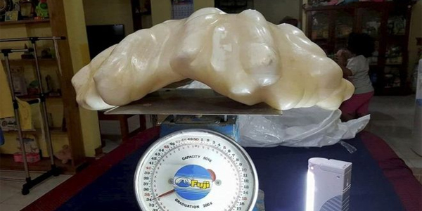 La plus grosse perle du monde trouvée aux Philippines