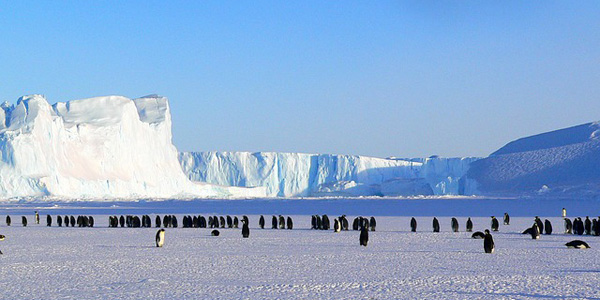 L'océan Antarctique n'accueillera pas de réserve marine internationale
