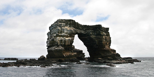 Iles Galapagos : l'Arche de Darwin s'est effondrée