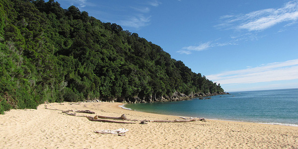 Nouvelle-zélande : mobilisation pour le rachat d'une plage privée