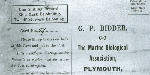 Une bouteille jetée à la mer en 1906 enfin retrouvée