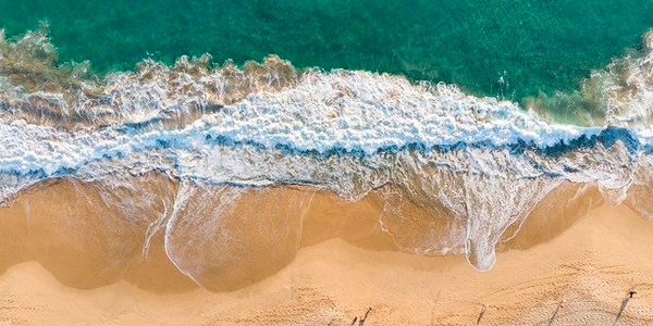 La moitié des plages de sable pourraient disparaître