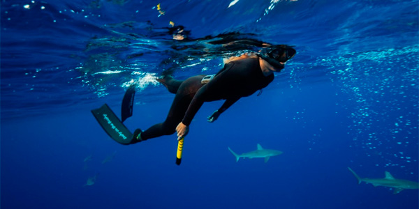 L'eSPEAR, la lance high-tech anti-requin