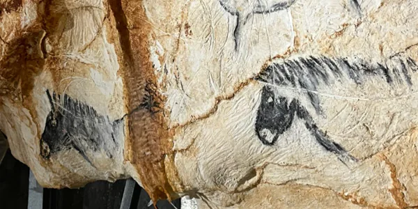 La réplique de la grotte Cosquer de Marseille enfin accessible au public
