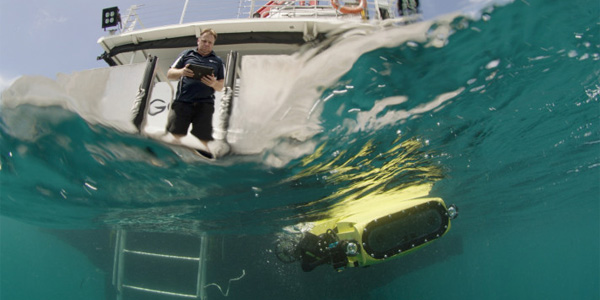 Un robot sous-marin va repeupler la Barrière de corail