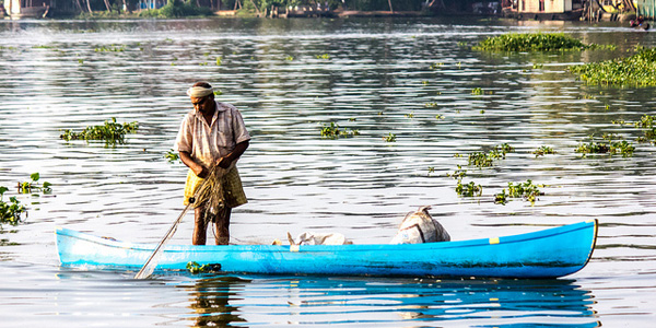 Au Kérala, les pêcheurs nettoient l'océan à la main