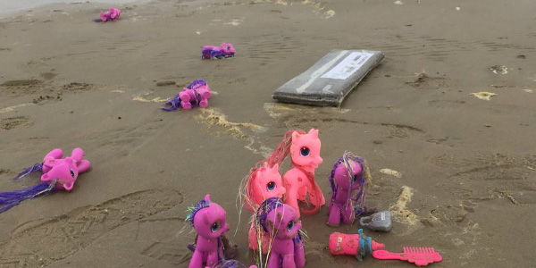 Des centaines de petits poneys échoués sur une plage hollandaise