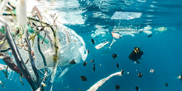 Il y aurait nettement plus de plastique que prévu dans nos océans