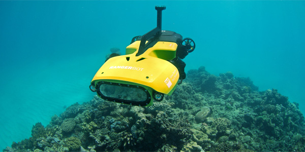 Rangerbot, le robot qui prend soin des coraux