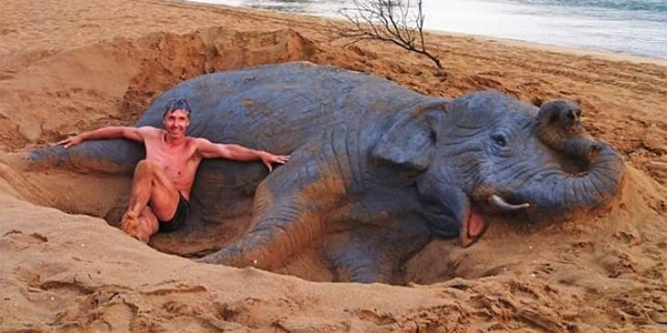 Des animaux plus vrais que nature sculptés dans le sable