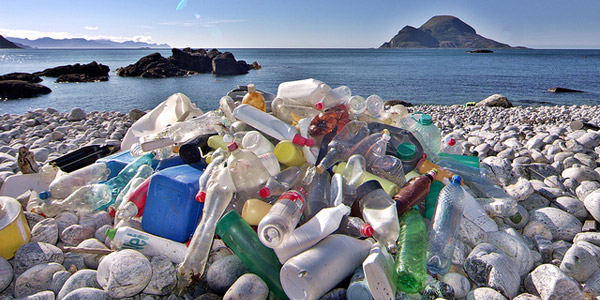 Des bouteilles de shampoing issues des déchets de plage