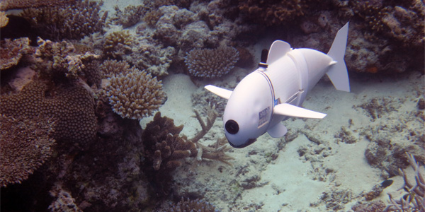 SoFi, un poisson-robot pour explorer les océans