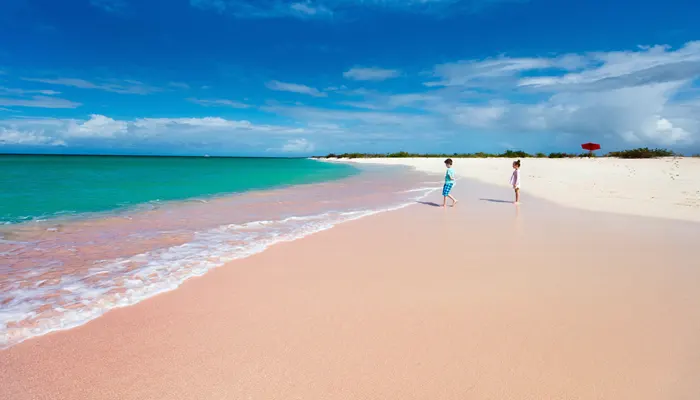 pink sand beach