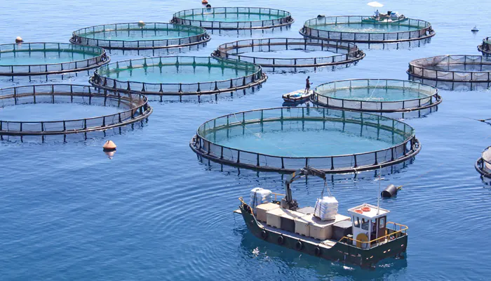 L'aquaculture responsable, est-ce possible ?