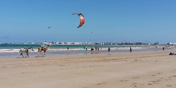 La plage d'Essaouira : kitesurf, dromadaires et thé à la menthe