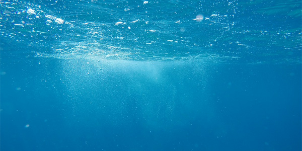 Les océans sont plus acides par l'absorption de CO2