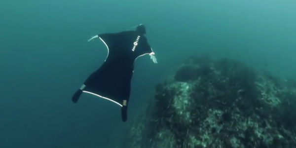 Oceanwings, ou comment voler sous l'eau