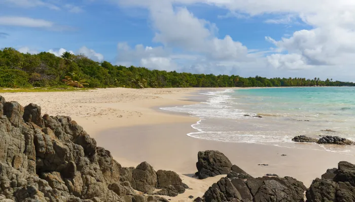 Les plages les plus sauvages de Martinique : vous y serez seul au monde (ou presque)