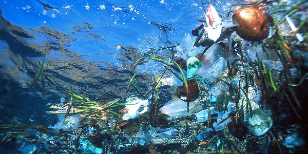 La pollution plastique des océans