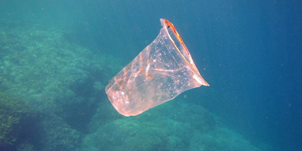 Plastique en mer : un nettoyage possible