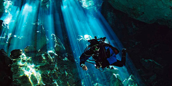 Underwater Earth : plongée au coeur des océans